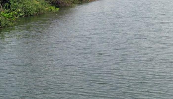 नागपूरमध्ये सहा महिलांचा बुडून मृत्यू