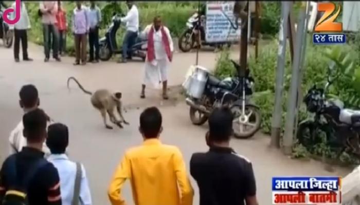 माकडासाठी मायलेकाचं नातं काही वेगळंच असतं...