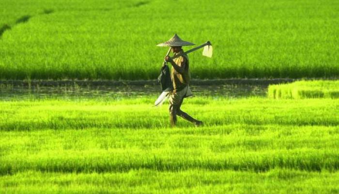 शेतीपूरक योजनांच्या सुधारणांमध्ये महाराष्ट्र पहिला 