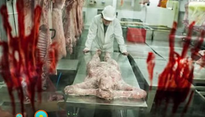 व्हिडिओ : चीन मानवी देहाच्या मांसाची निर्यात करतं?