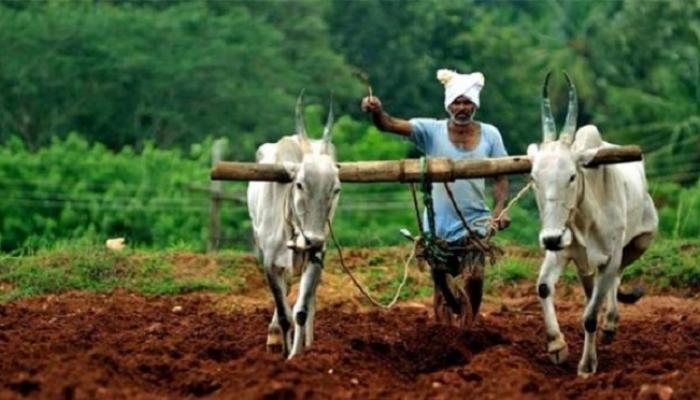 शेतीमालाच्या बदल्यात जुन्या नोटा घेण्याचा व्यापाऱ्यांचा आग्रह