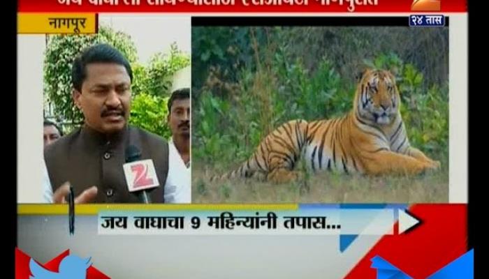 Nagpur | SIT To Inquiry On JAY Lost Tiger