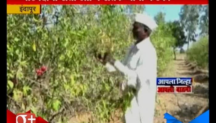 Indapur | Farmers Angry For Note Ban As No New Note Available