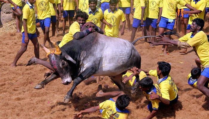 तामिळनाडूत द्रमुकतर्फे आज राज्यव्यापी आंदोलन, चोख पोलीस बंदोबस्त