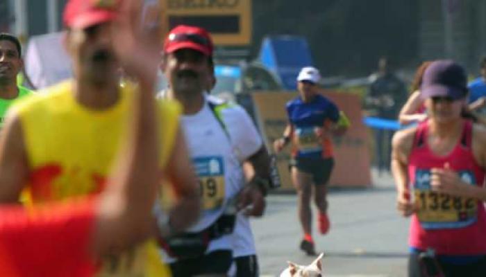 मुंबई मॅरेथॉनमध्ये सहभागी होणार 42 हजार धावपटू