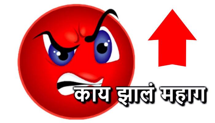 राज्याचा अर्थसंकल्प : हे झाले महाग