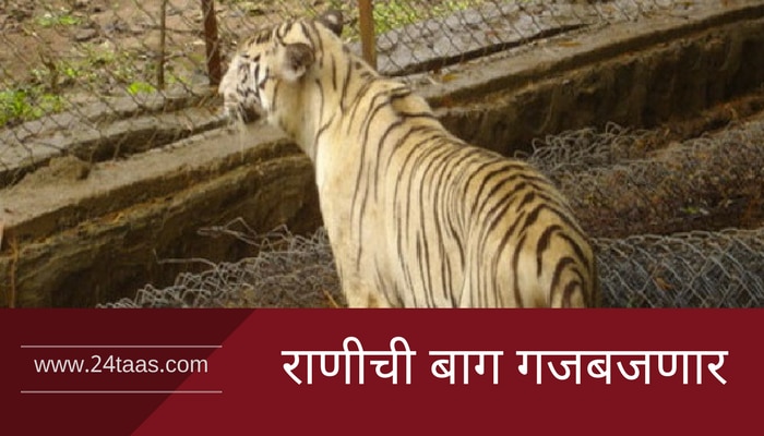 Ranichi Baug News In Marathi Ranichi Baug Breaking News Latest News News Headlines In Marathi 24taas Com If you are an aetna member with questions about your aetna coverage please refer to our aetna member services page. zee news india com