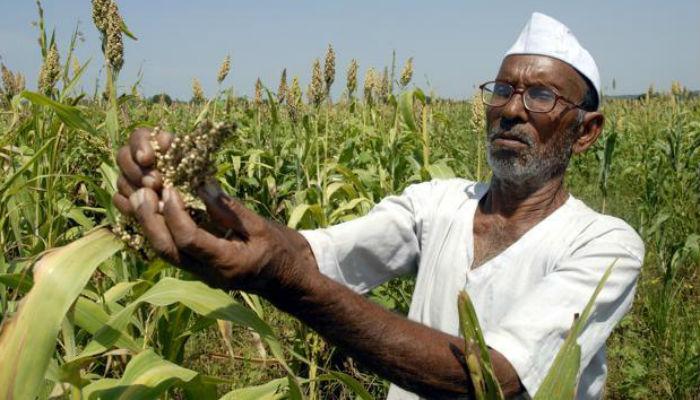 शेतकरी ते थेट ग्राहक... &#039;फ्रेंड्स फॉर फार्मर&#039;चा उपक्रम!