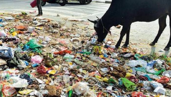 पुण्यातील कचरा प्रश्नाची कोंडी कायम, राज्यमंत्री शिवतारेंचा प्रयत्न अयशस्वी 