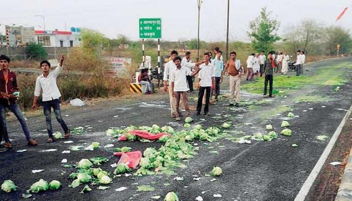 शेतकरी संतापला, ५ जूनला महाराष्ट्र बंदची हाक