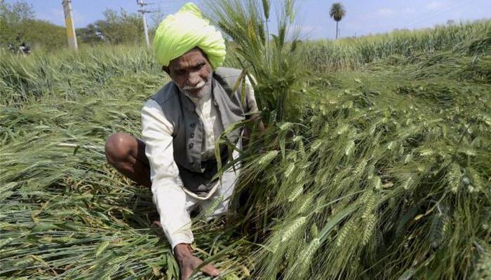 यवतमाळमध्ये मान्सूनपूर्व पावसाचा कहर 