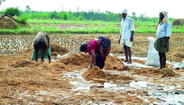 पाऊस दाखल, मात्र शेतकऱ्यांचा &#039;तेरावा&#039; महिना सुरूच!