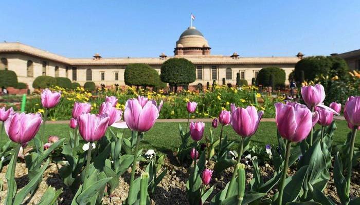 राष्ट्रपती निवडणुकीसाठी दोघांनी भरले उमेदवारी अर्ज, एकाचा अर्ज फेटाळला