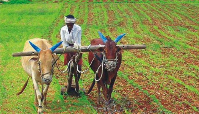 आजी-माजी आमदार, खासदार तातडीच्या कर्जासाठी अपात्र