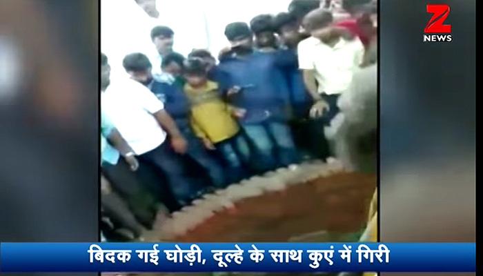 OMG: घोडीसह विहिरीत पडला नवरदेव...  Viral Video