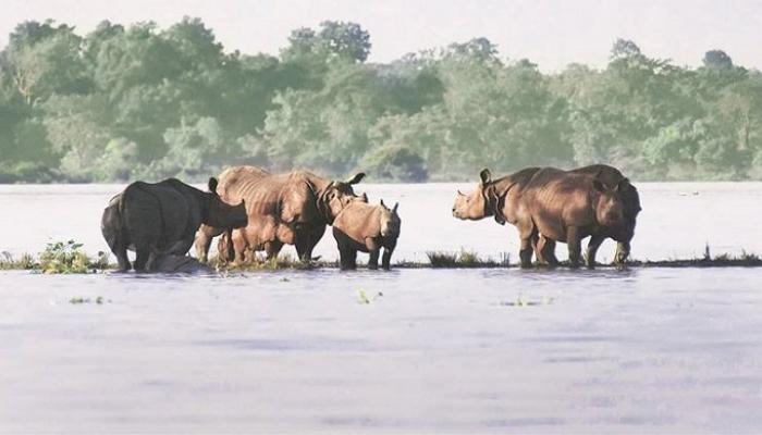 पुरात बळी पडलेल्यांचा आकडा ८० वर