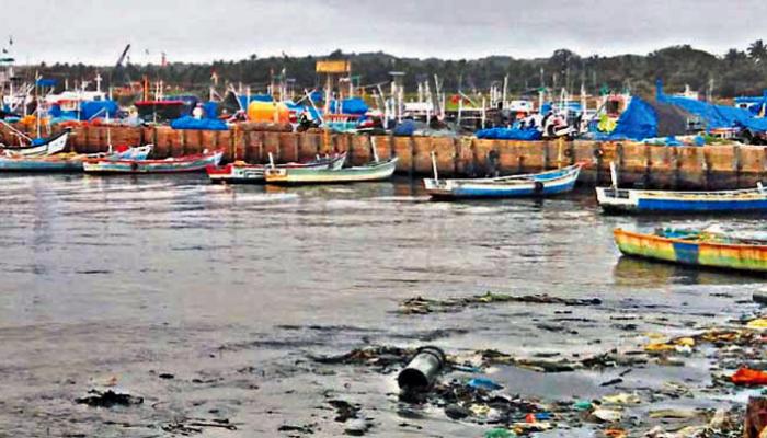 मासेमारीवरील बंदी उठली, आजपासून मासेमारी सुरु 