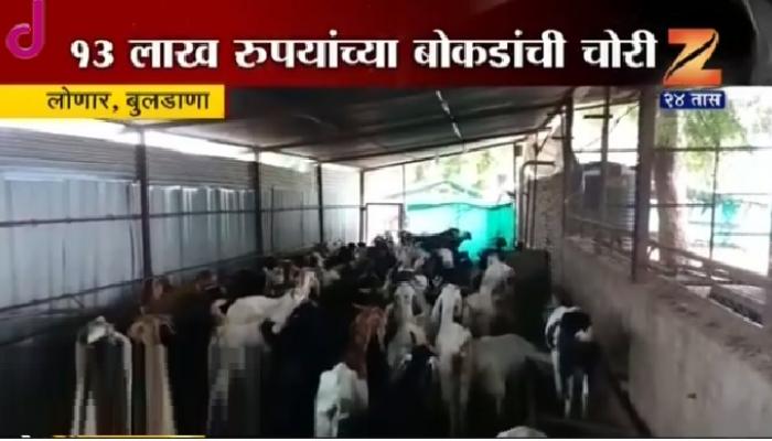 १३ लाखांचे बोकड चोरीला गेल्याची घटना