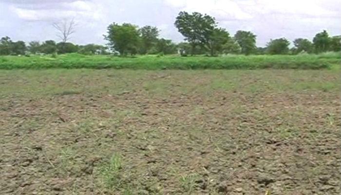 गोंदिया जिल्ह्यात १५ दिवसांपासून पाऊस नाही, शेतकरी चिंतेत 