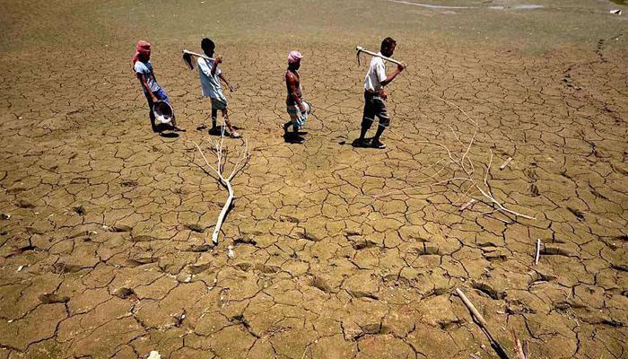 मराठवाडा पुन्हा दुष्काळाच्या छायेत, ४८ दिवसांपासून पावसाची दडी 