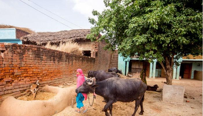 &#039;हे&#039; गाव साजरं करत नाही स्वातंत्र्य दिवस?