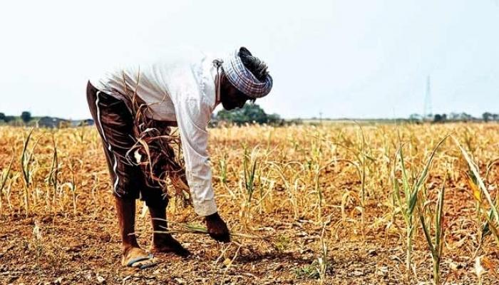 कर्जमाफीसाठी १० लाख ११ हजार शेतकऱ्यांचे ऑनलाईन अर्ज  