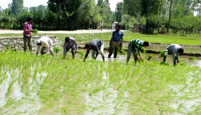 शेतकऱ्यांच्या कर्जमाफी संदर्भात सरकारची महत्त्वाची घोषणा