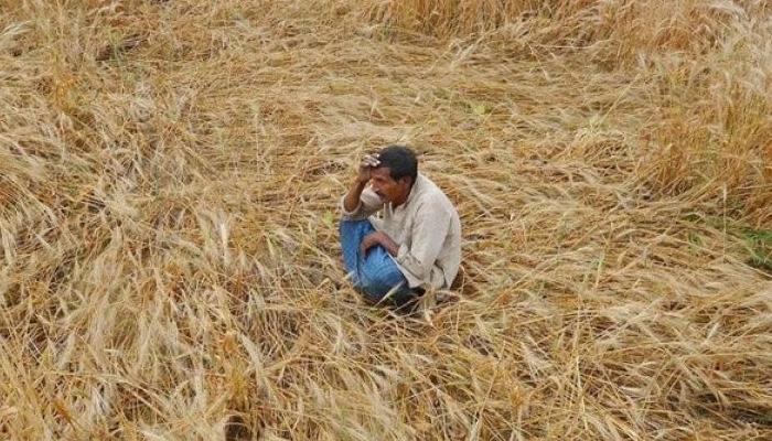 दोन वर्षात २६ टक्के मराठा शेतकऱ्यांची आत्महत्या