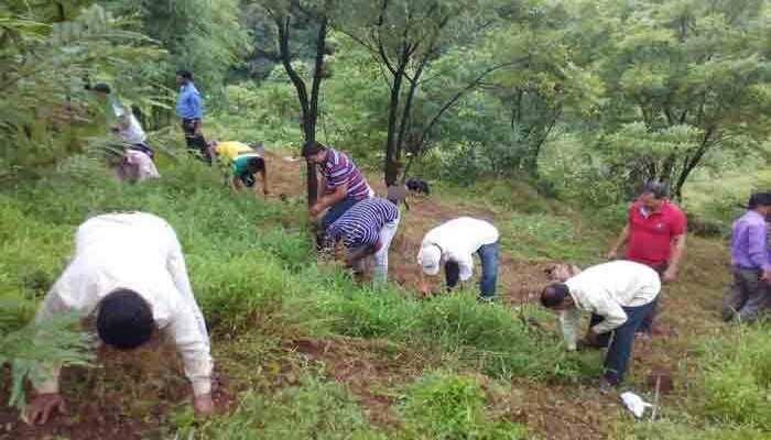  पेणमध्ये श्रीसदस्यांचे उजाड डोंगरीत वृक्षारोपण