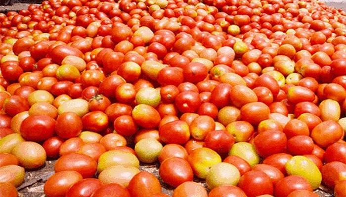 पाकिस्तानात टोमॅटो ३०० रूपये प्रति किलो