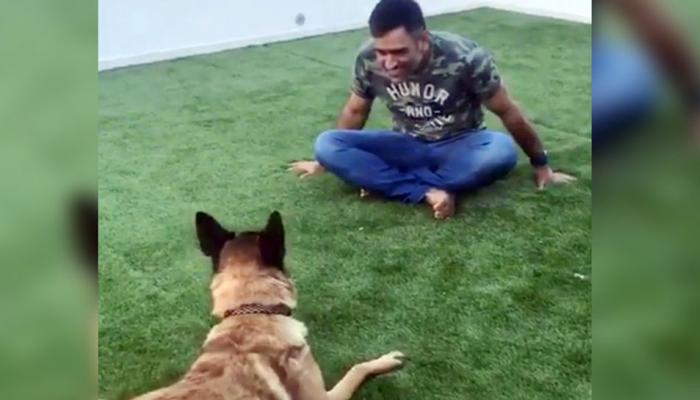 VIDEO : धोनीची कुत्र्यासोबत मस्ती! 