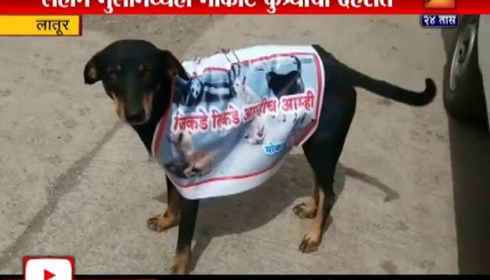 भटक्या कुत्र्यांच्या समस्येविरोधात मनसेचं लातुरात आंदोलन 