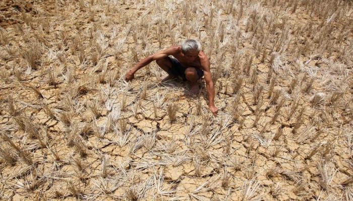 राज्यभरात पालकमंत्र्यांच्या हस्ते कर्जमाफी प्रमाणपत्रांचे वाटप