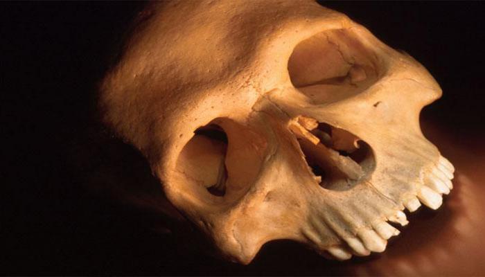 ६,००० वर्षांपूर्वीच्या मानवी कवटीचं रहस्य...