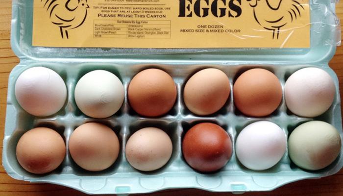 अंड शाकाहारी की मांसाहारी? या वादावर वैज्ञानिकांंचा आश्चर्यकारक खुलासा 