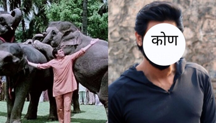 &#039;हाथी मरे साथी&#039; या सिनेमाचा रिमेक, हा अभिनेता साकारणार राजेश खन्नांची भूमिका? 