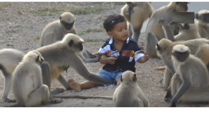 लहानग्याची माकडाशी गट्टी