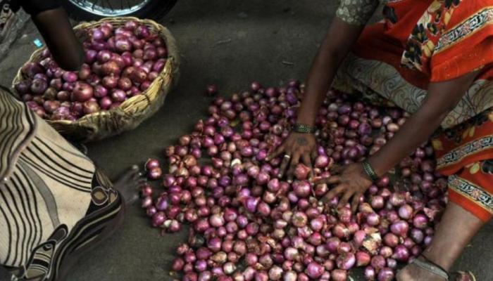 कांद्याच्या किमती सततच का वाढतात?