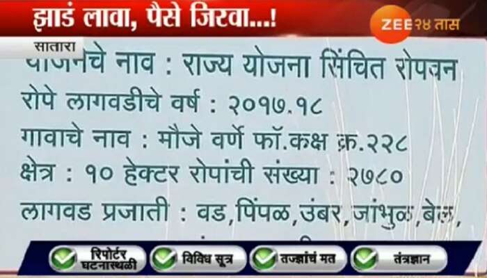 व्हिडिओ : तब्बल चार कोटी खर्चून लावलेली झाडं झाली अचानक गायब!