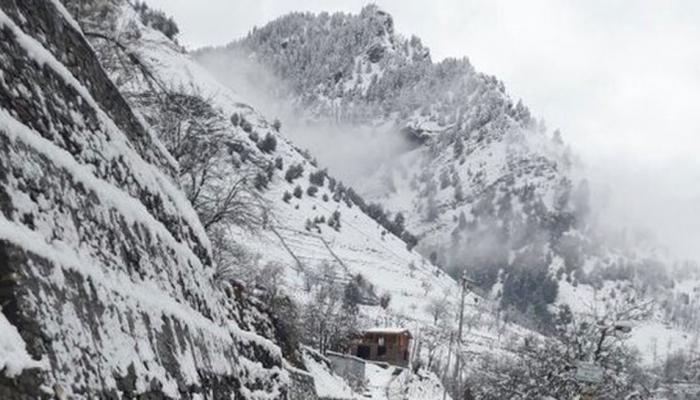  उत्तर भारतात थंडीची लाट अधिक तीव्र, पंजाब-काश्मीर गारठले