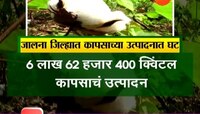 पीकपाणी | जालना | बोंड अळीमुळे 70 टक्के नुकसान