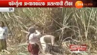 ऊस तोडणी आणि वाहतूक खर्चाबाबतच्या परिपत्रकाला विरोधकांचा विरोध