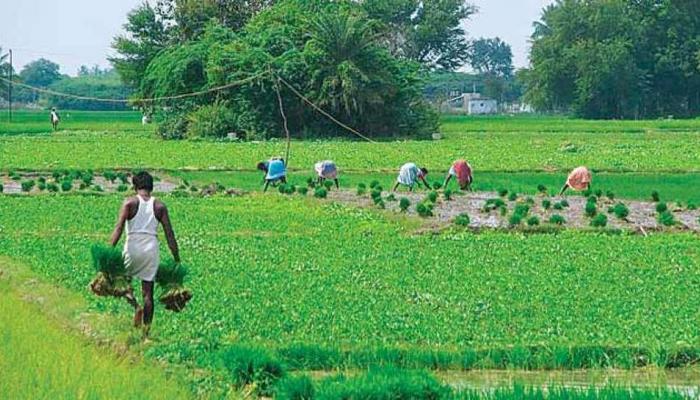 शेतकऱ्यांना घरपोच मिळणार शेती साहित्य