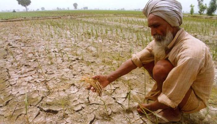 पिकांची आणेवारी बदलल्याने शेतकरी हवालदिल 