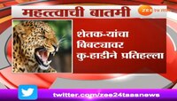 नागपुरात शेतकऱ्यांच्या प्रतिहल्ल्यात बिबट्याचा मृत्यू
