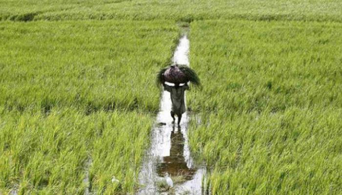 केंद्रीय अर्थसंकल्प 2018: कृषी क्षेत्राला &#039;अच्छे दिन&#039; दिसणार का?