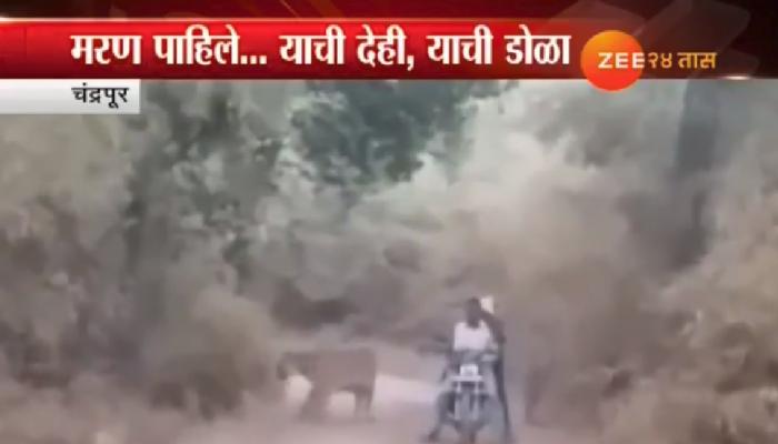 मोटारसायकलवर असताना 'यमराज' त्यांना 'कट' मारून गेला...