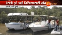 ऐरोलीत पक्षी निरीक्षणाची फेरी बोटीने सोय