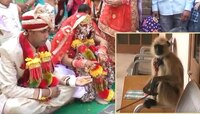 नवरदेवाला लग्नात आलिशान कार किंवा बाईक नाही तर सासऱ्याने दिला...