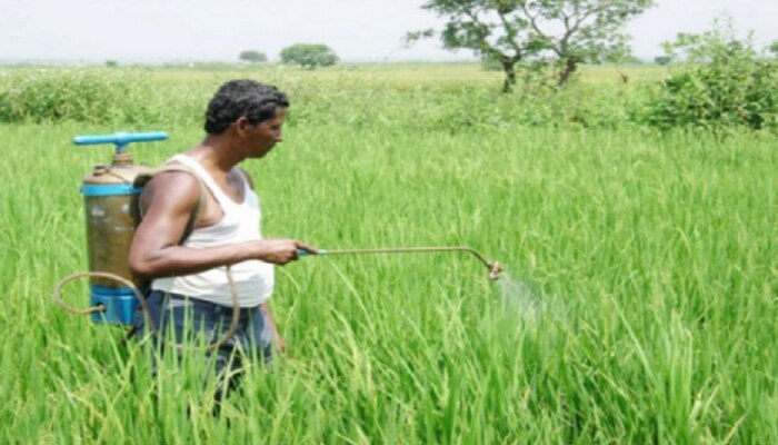 &#039;त्या&#039; शेतकऱ्यांच्या नातेवाईकांना सानुग्रह रक्कम द्या, कोर्टाचे आदेश 